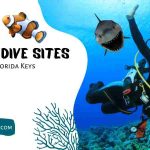 XploreGEO-20-Best-SCUBA-Diving-Sites-In-The-Florida-Keys_900x450_v1_0