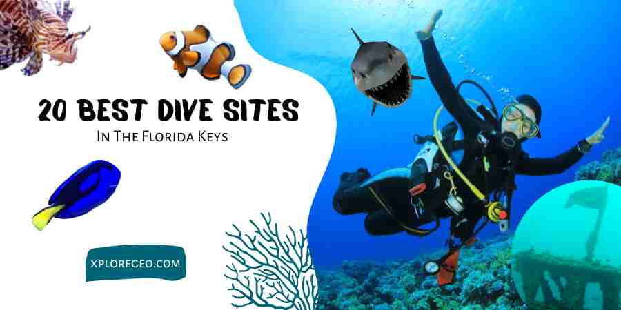 XploreGEO-20-Best-SCUBA-Diving-Sites-In-The-Florida-Keys_900x450_v1_0