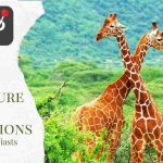 XploreGEO-9-Adventure-Travel-Destinations-For-Wildlife-Enthusiasts_900x450_v1_0