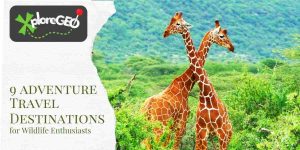 XploreGEO-9-Adventure-Travel-Destinations-For-Wildlife-Enthusiasts_900x450_v1_0